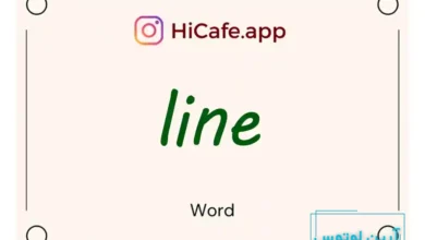 Meaning and usage of line word