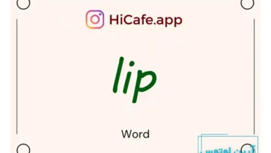 Meaning and usage of lip word
