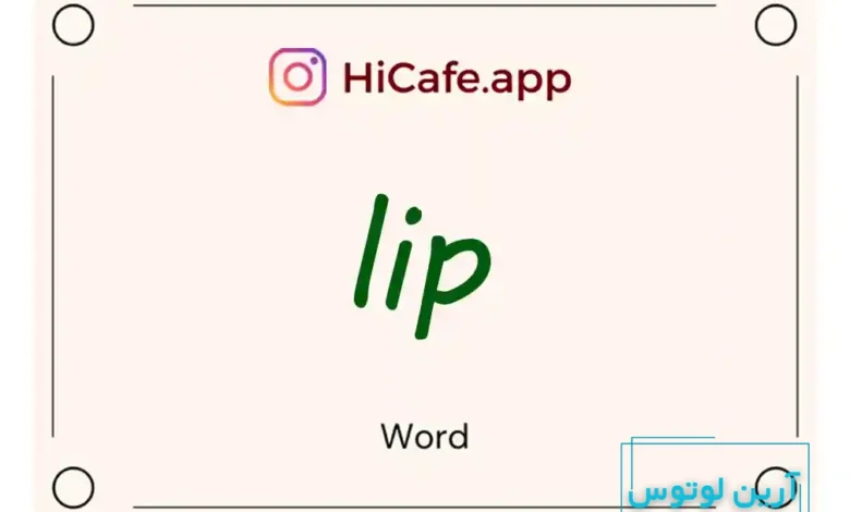 Meaning and usage of lip word