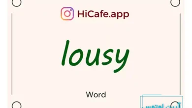 Meaning and usage of lousy word
