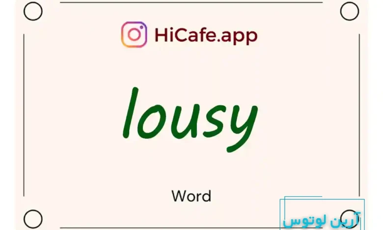 Meaning and usage of lousy word