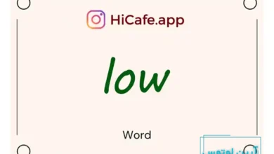 Meaning and usage of low word