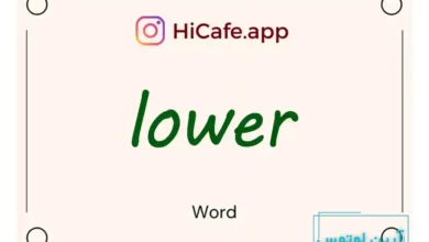 Meaning and usage of lower word