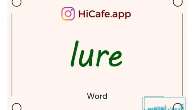 Meaning and usage of lure word