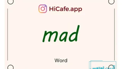 Meaning and usage of mad word