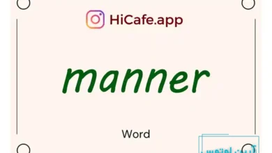 Meaning and usage of manner word