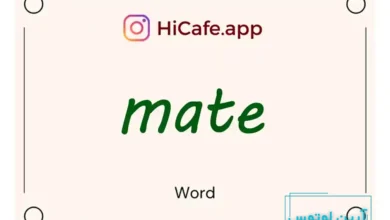 Meaning and usage of mate word