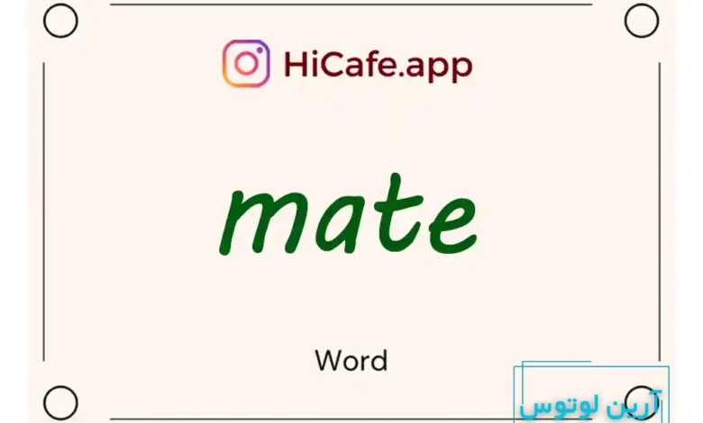 Meaning and usage of mate word