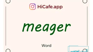 Meaning and usage of meager word