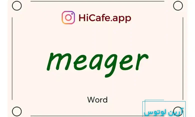 Meaning and usage of meager word