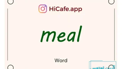 Meaning and usage of meal word