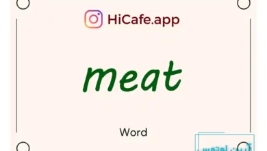 Meaning and usage of meat word