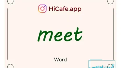 Meaning and usage of meet word