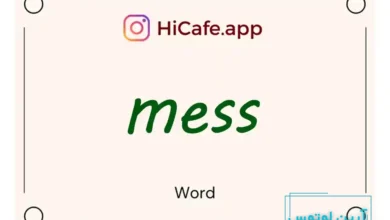 Meaning and usage of mess word