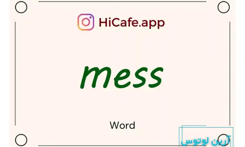 Meaning and usage of mess word
