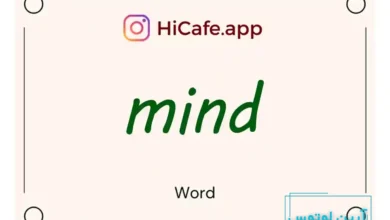 Meaning and usage of mind word