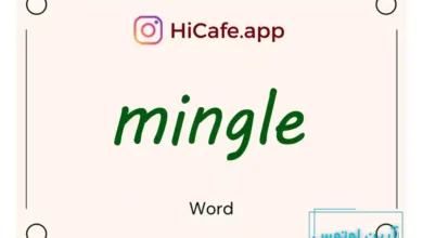 Meaning and usage of mingle word