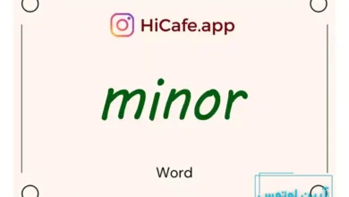 Meaning and usage of minor word