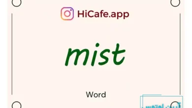 Meaning and usage of mist word