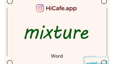 Meaning and usage of mixture word