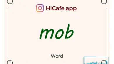 Meaning and usage of mob word