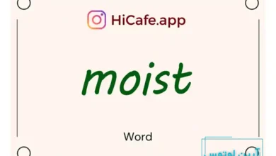 Meaning and usage of moist word