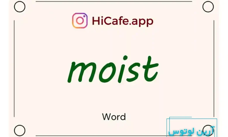 Meaning and usage of moist word