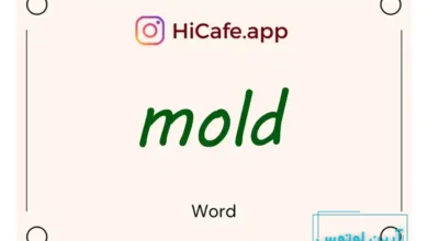 Meaning and usage of mold word