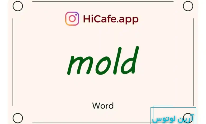 Meaning and usage of mold word