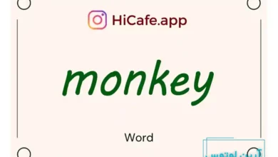 Meaning and usage of monkey word