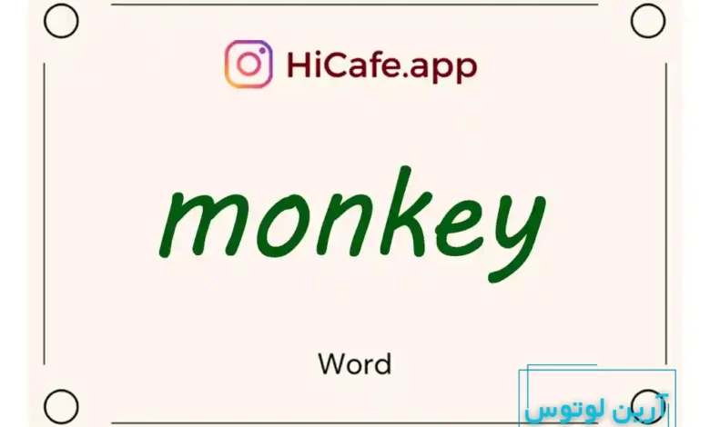 Meaning and usage of monkey word