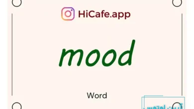 Meaning and usage of mood word