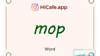 Meaning and usage of mop word