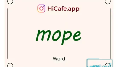 Meaning and usage of mope word