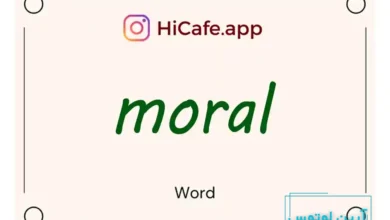 Meaning and usage of moral word