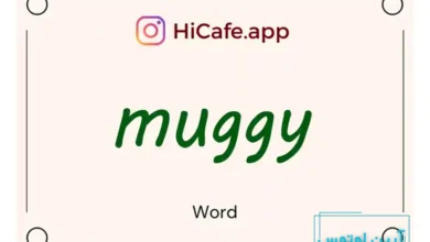 Meaning and usage of muggy word