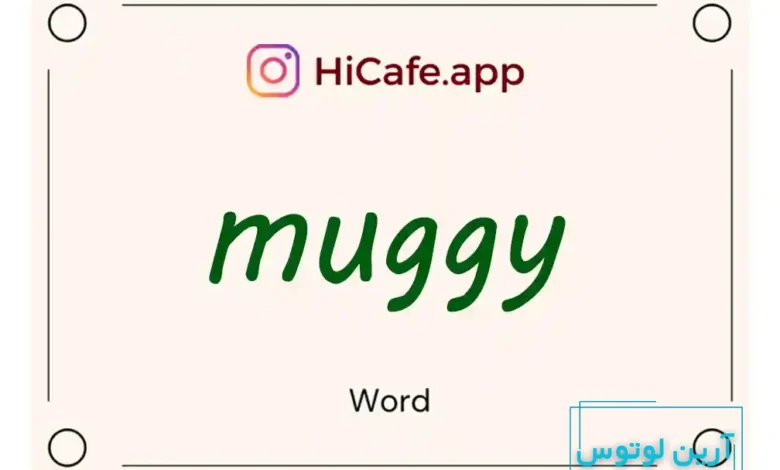 Meaning and usage of muggy word