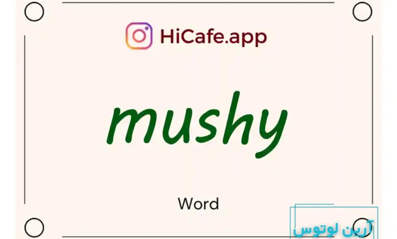 Meaning and usage of mushy word