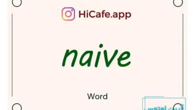 Meaning and usage of naive word