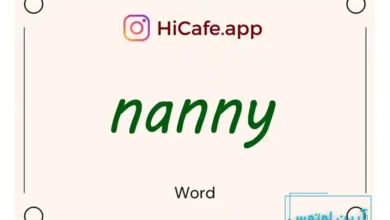 Meaning and usage of nanny word