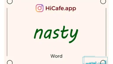 Meaning and usage of nasty word
