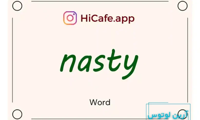 Meaning and usage of nasty word
