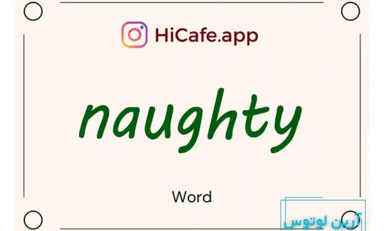 Meaning and usage of naughty word