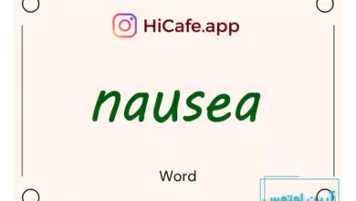 Meaning and usage of nausea word