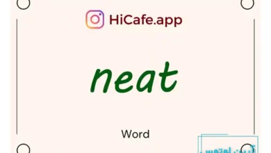 Meaning and usage of neat word