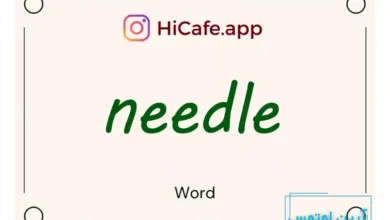 Meaning and usage of needle word
