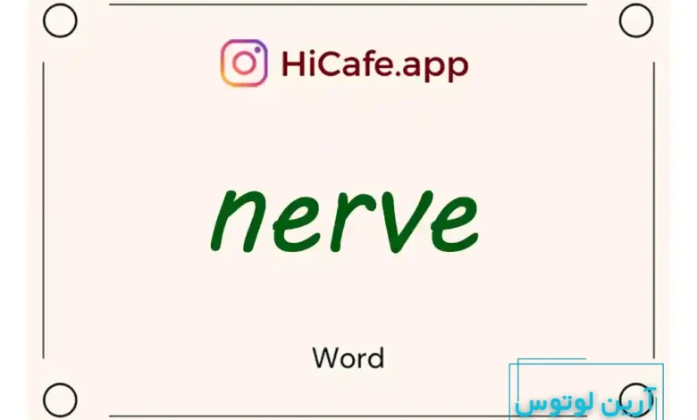 Meaning and usage of nerve word