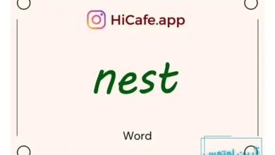 Meaning and usage of nest word