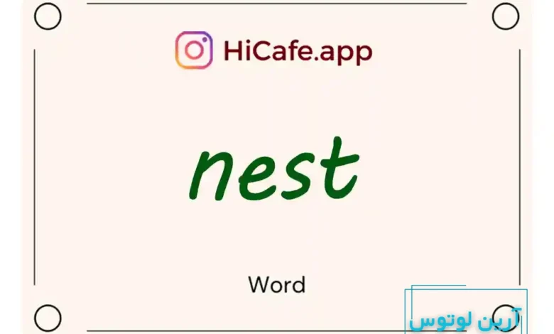Meaning and usage of nest word