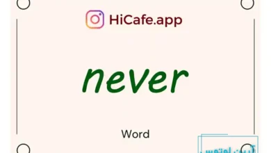 Meaning and usage of never word